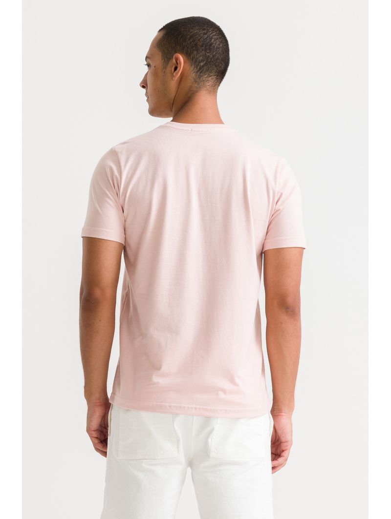 5570-rosa--2-