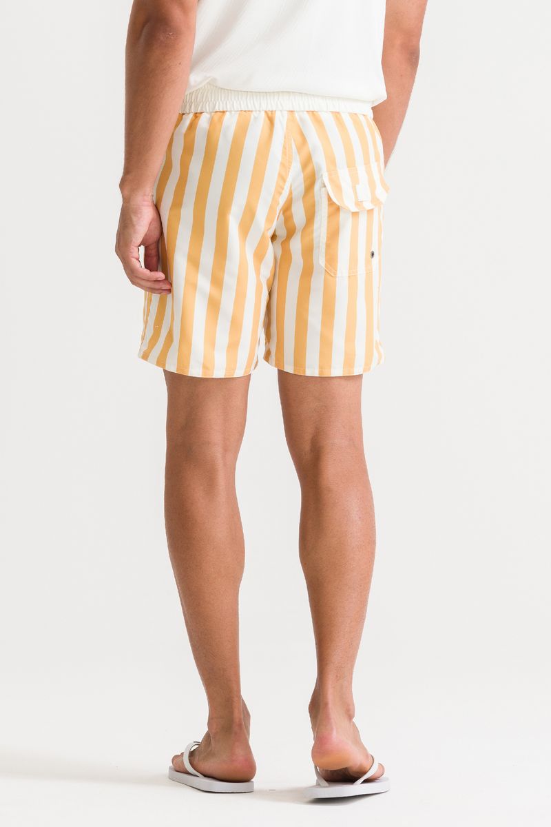 32173---amarelo--2-