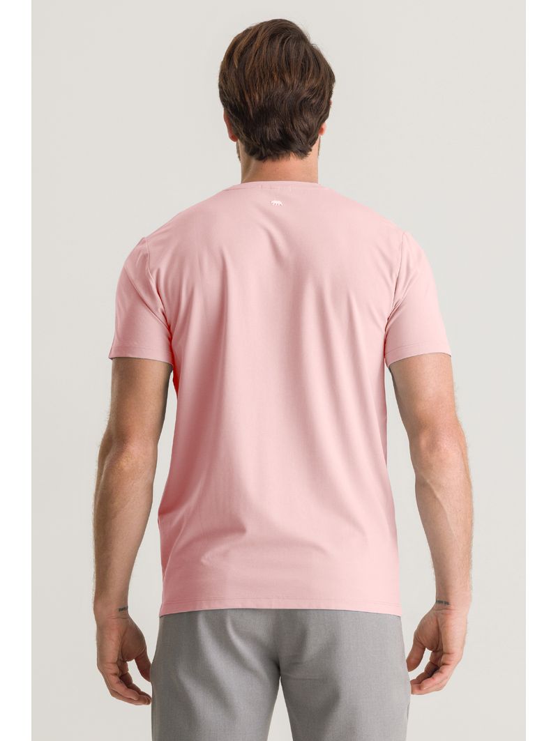 033131039---rosa--1-